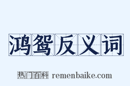 鸿鸳反义词是什么意思的图片